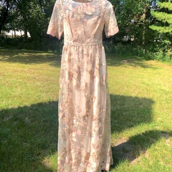ADRIANNA PAPELL ROSE QUART LONG ILLUSION MESH DRESS 8 NWT - Picture 4 of 16